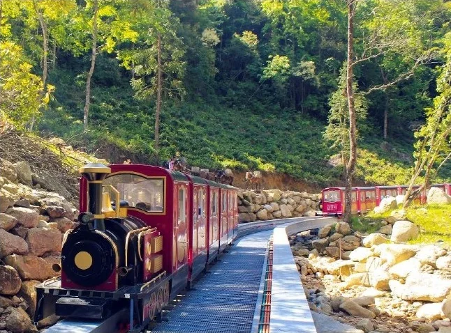 Tren turístico en una curva entre zonas arboladas